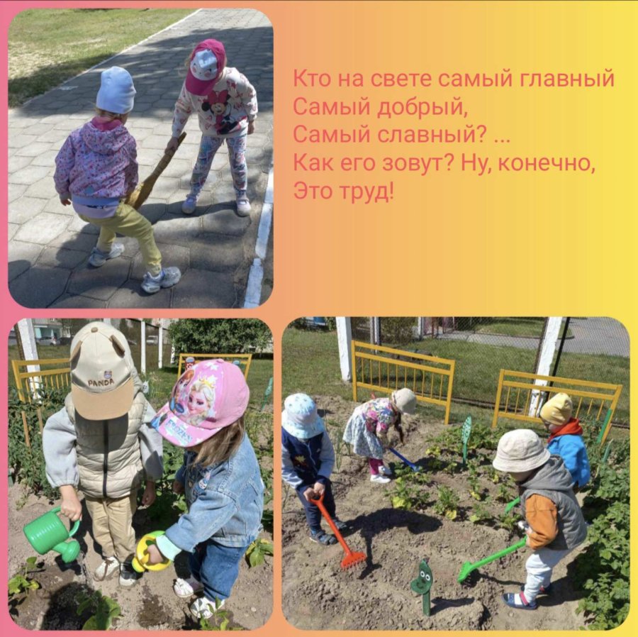 Труд в природе