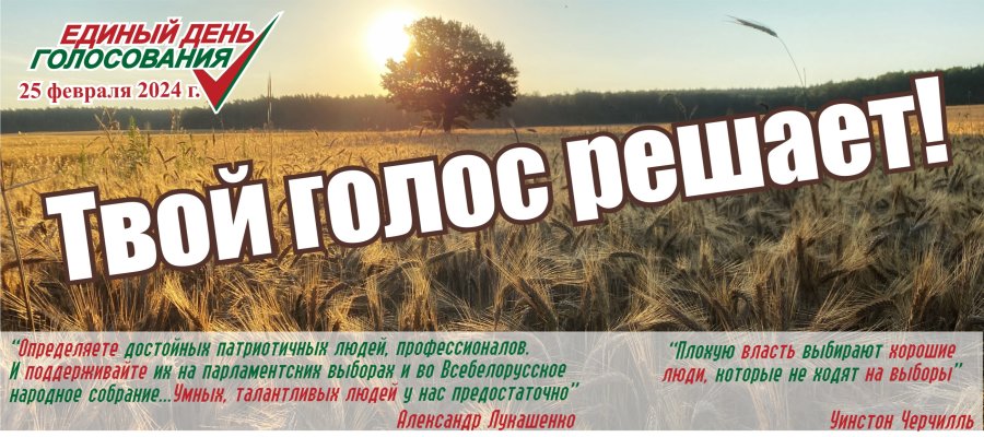 Твой голос решает!