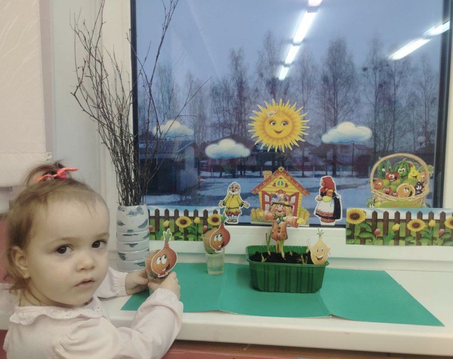 Огород на подоконнике