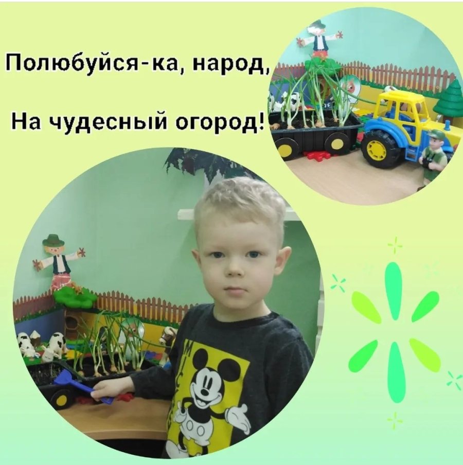 Полюбуйся-ка, народ, на чудесный огород!